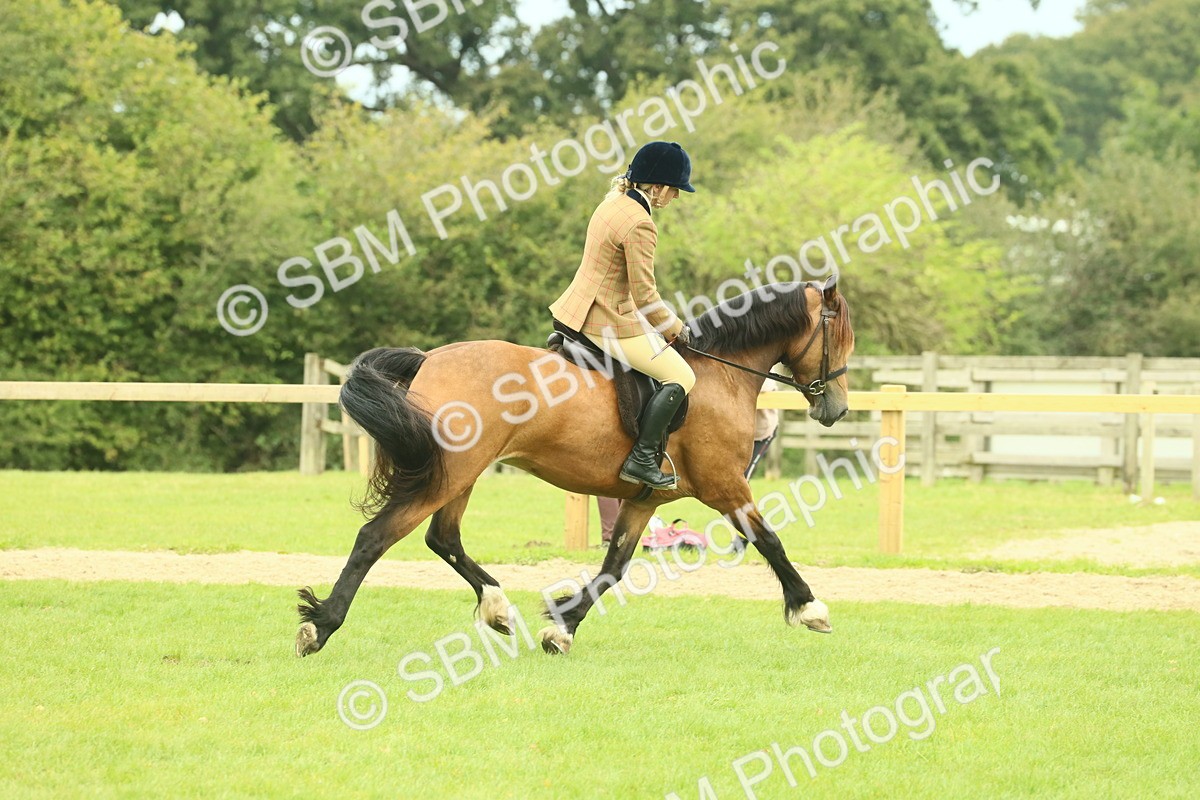 SBM_72136 - S60 - Mountain & Moorland Ridden Large Breeds