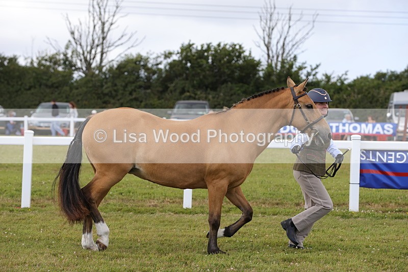 1X9A4924 - Class 35: Veteran In Hand