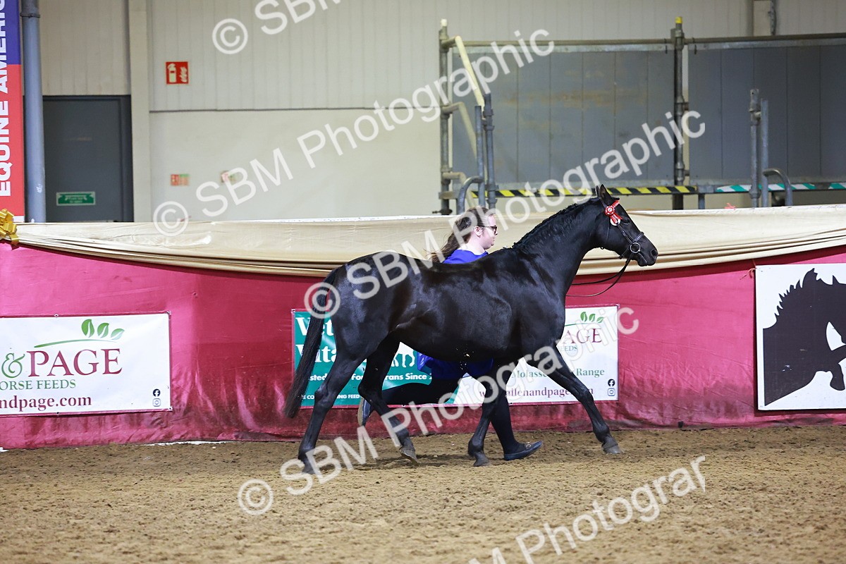 SBM_15506 - Class R - Veteran Champ