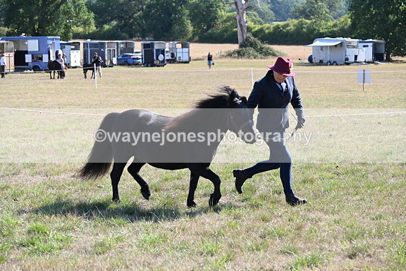 WJ6_4249 - Class 16 Condition & Turn Out