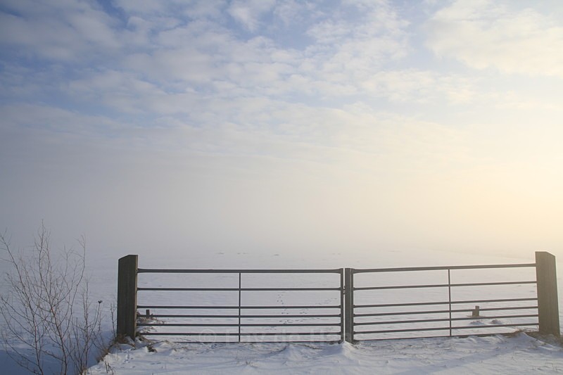  - Misty Morning