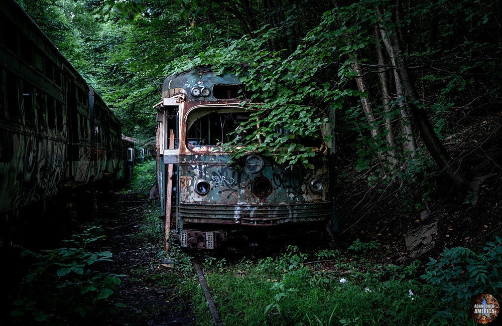 Trolley Graveyard | Empty Sockets - The Trolley Graveyard