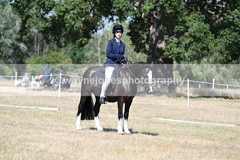 WJ7_0231 - Time 11:03 to 11:28