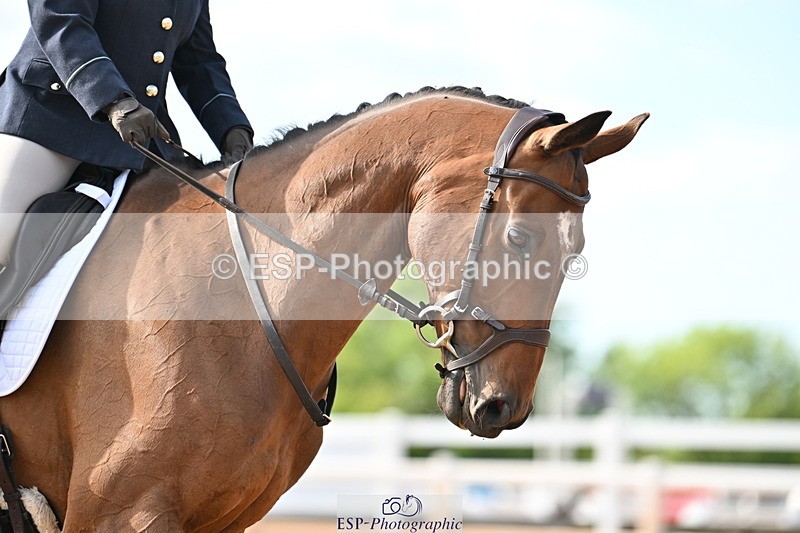 240622A-174921-15400 - Cls 7B+C Elementary 44 RoR