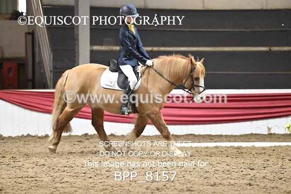 BPP_8157 - INTRO 2