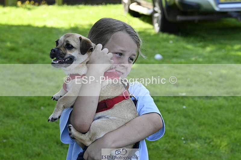 240728B-120532-00401 - Sunday Stable Shots and Fancy Dress