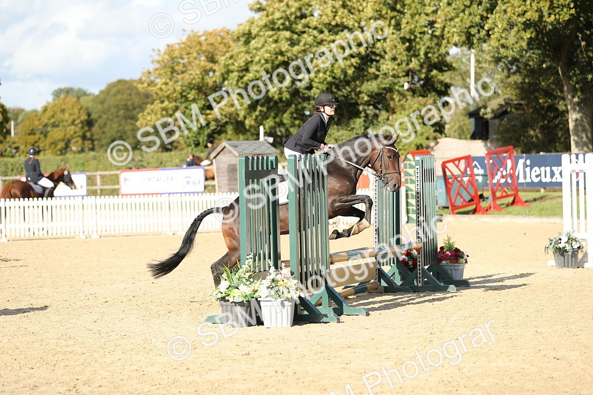 SBM_49600 - J22 - Junior Horse 65cm Championship