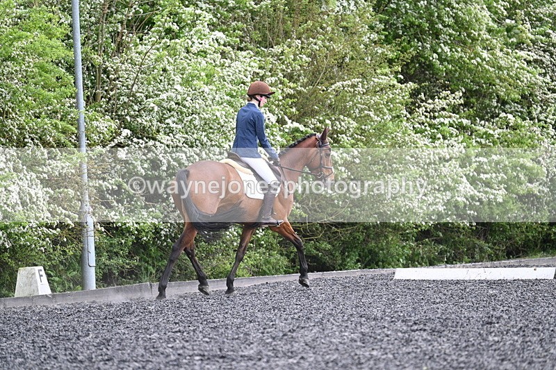 WJ7_1881 - Time 15:05 to 15:27