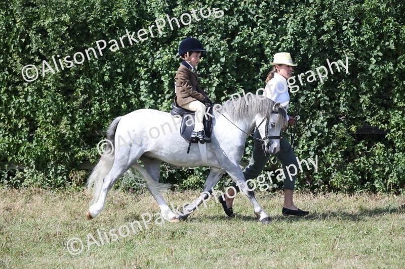 20250831-2651 - Class 17 - Lead Rein Pony