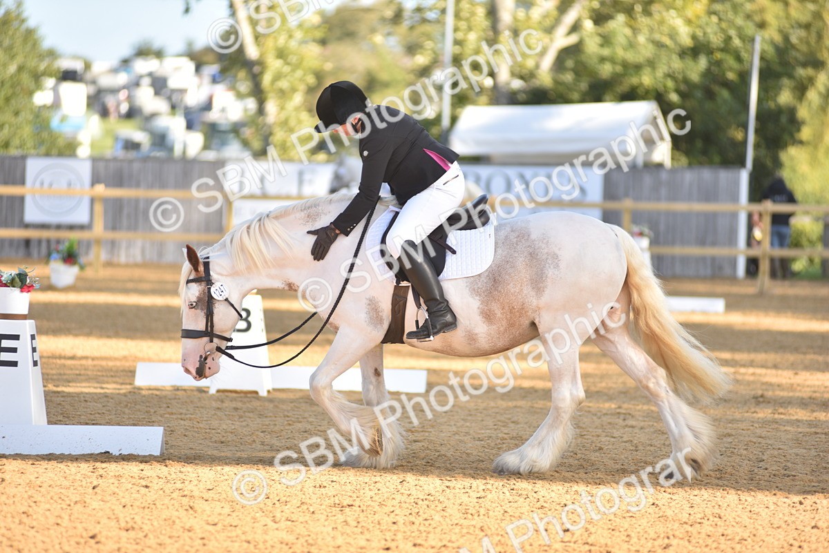 SBM_15740 - D4 - Small Tour Championship Intro 4