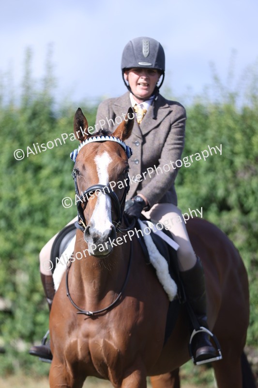 20250831-0857 - Class 14 - Ex Racehorse