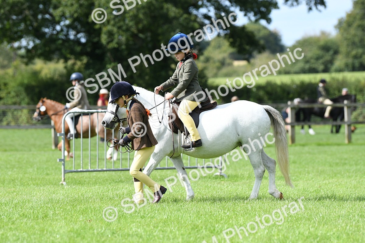 SBM_46817 - S12 - Family Horse & Pony