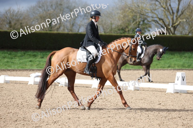 20260301-0534 - Class 4 - Novice 5