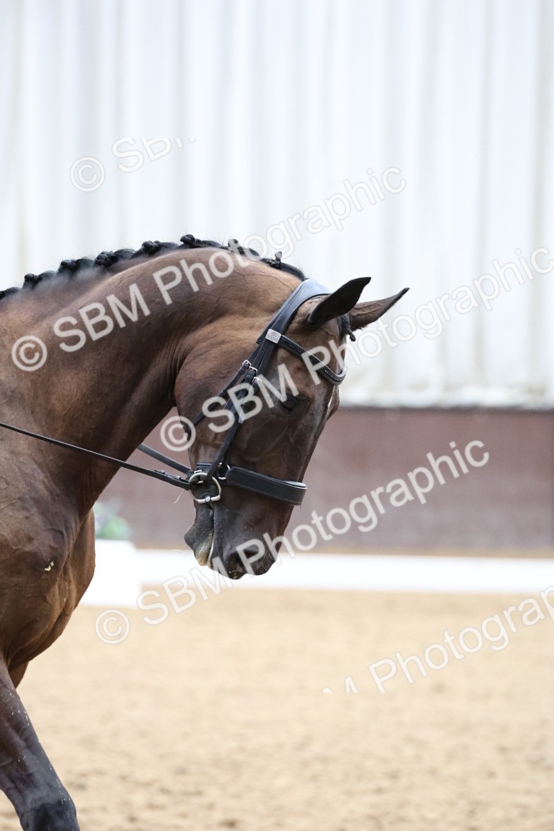 SBM_007586 - Class 23 - Medium FSM Bronze