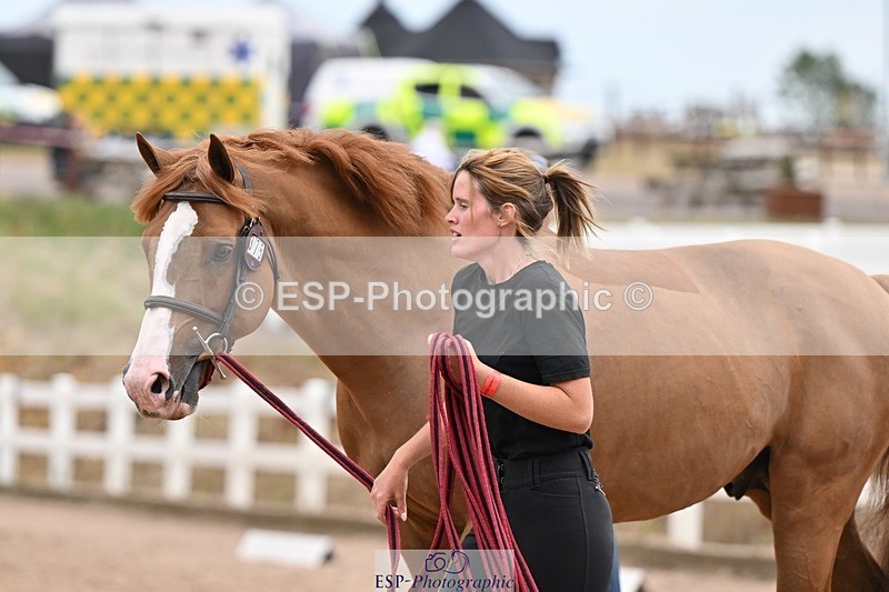 250716-155859-02313 - Trot Up 3.30 to 4.30