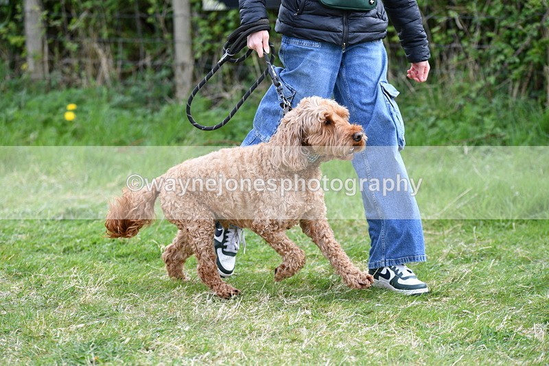 WJ5_0112 - Class 5 Best Veteran / 7 years & over