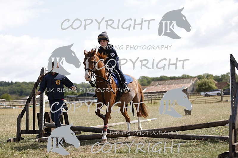 _R6A1103 - Grass Arena