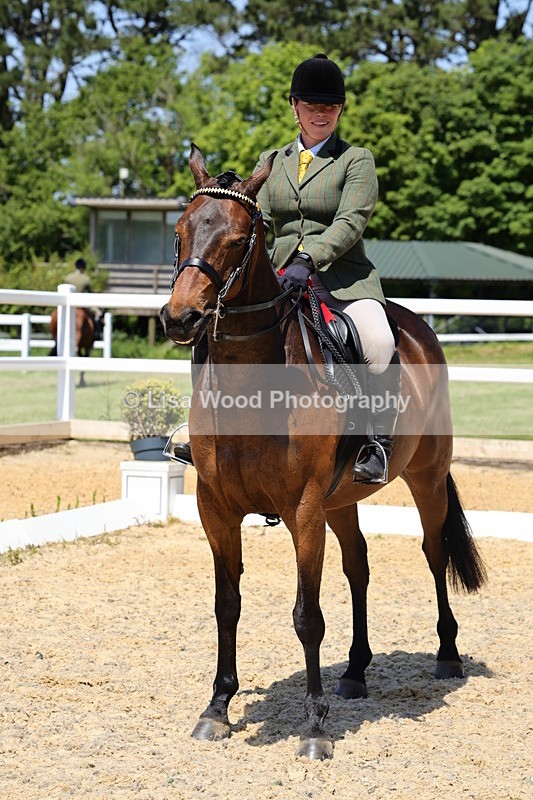 1X9A1917 - Class 12: Ridden Riding Horse/Hack