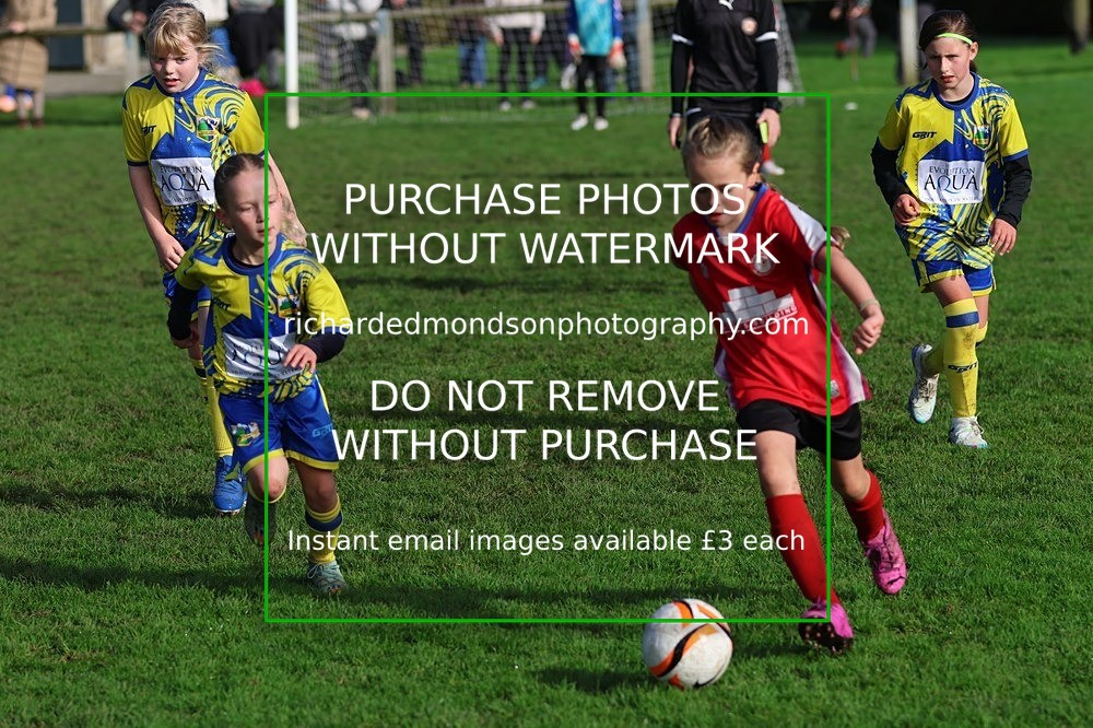 533A3650 - Halton Girls U9 (11/10/26)