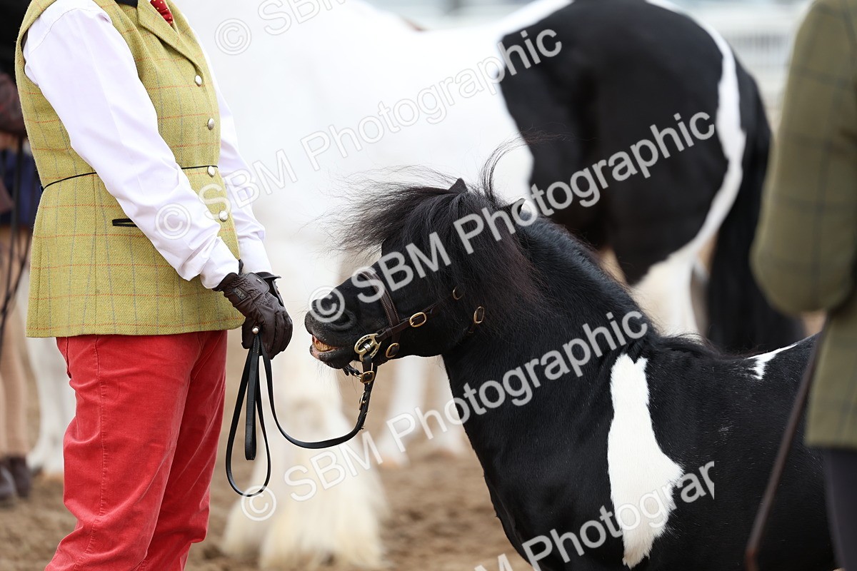 SBM_00305 - Class 15 - IH Coloured