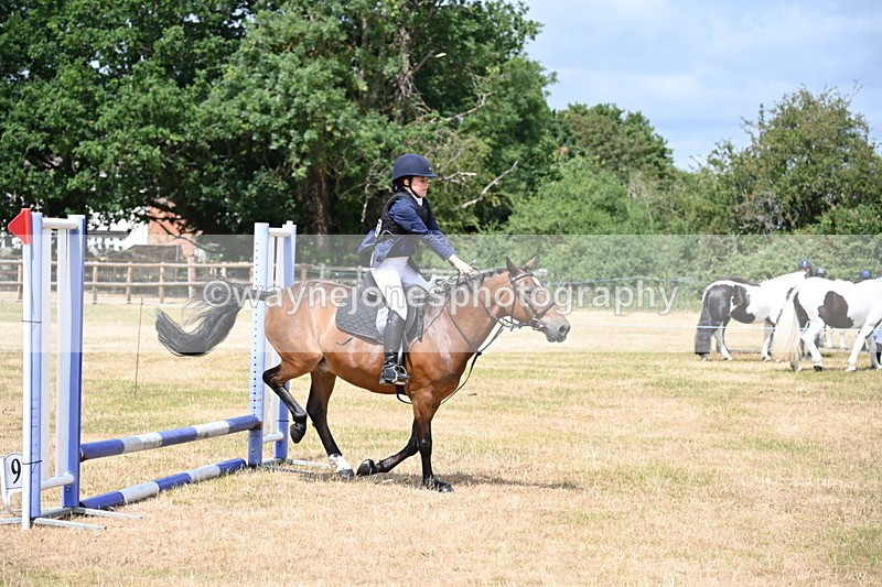 WJ6_5254 - Class 12 Minimus Jumping 45cm