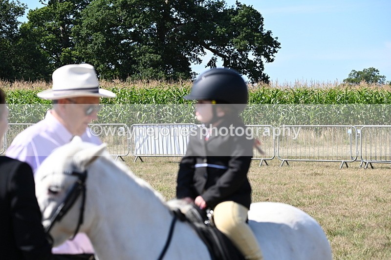 WJ6_7865 - Class 36 Lead Rein