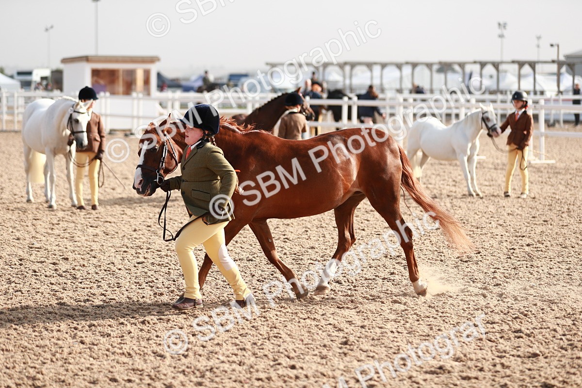 SBM_09884 - Class 203 Young Handler, 10 years and under