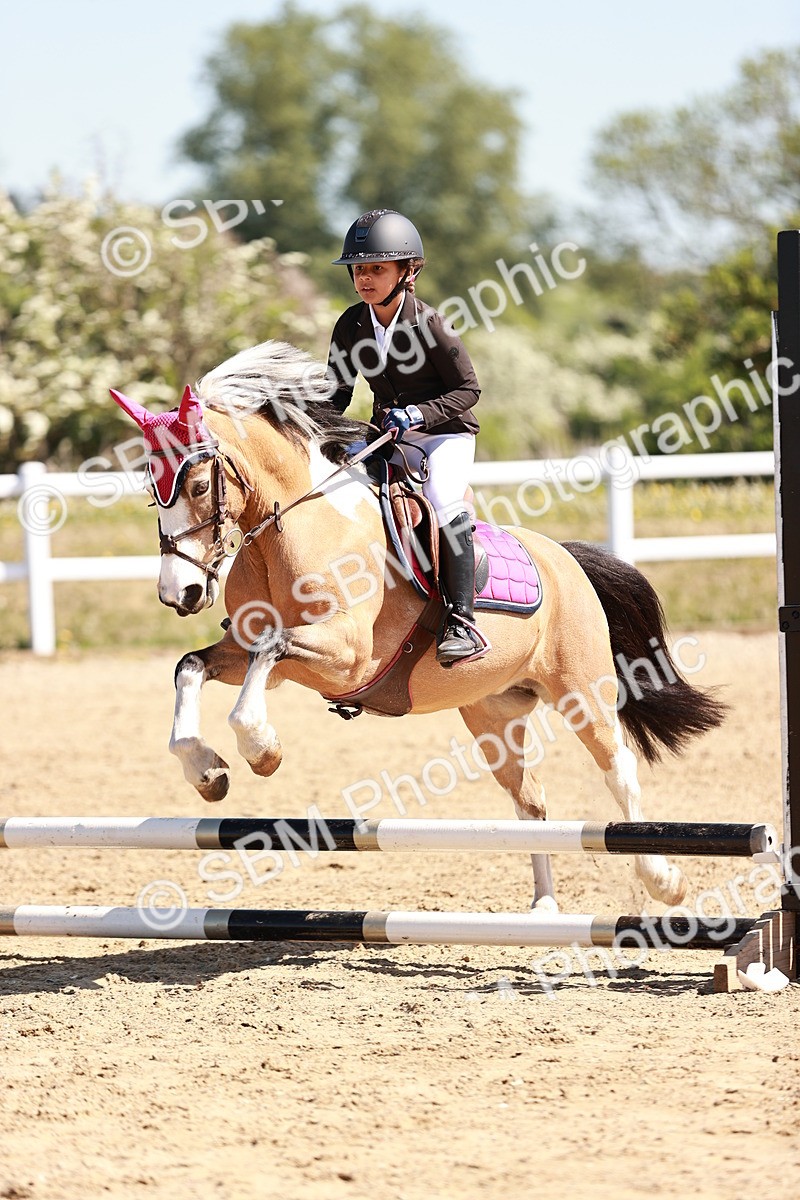 SBM_006997 - Class 2 - 50cm