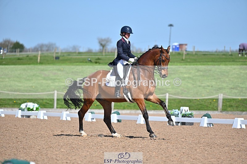 250405-130424-10831 - 028-Elizabeth.Allen-Heraldik