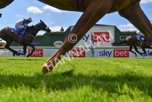 yr12062021r3-12 - Race 3 3.05pm Sky Bet Race to the Ebor Grand Cup