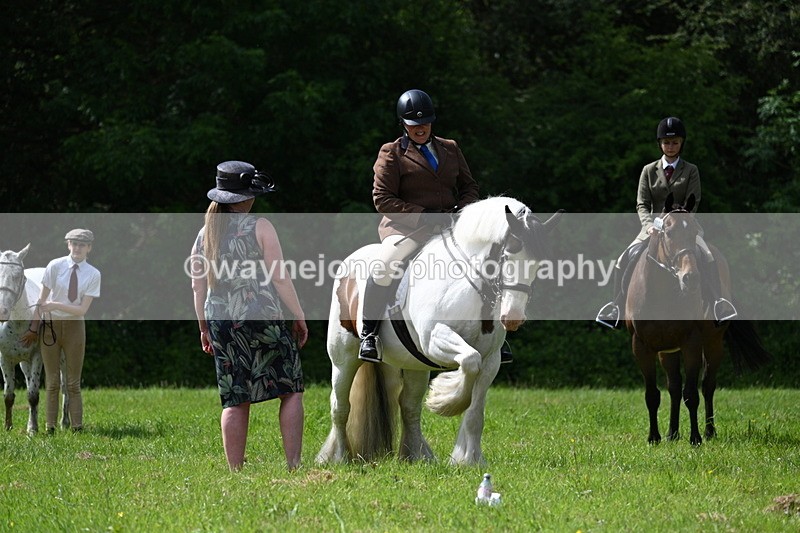 WJ7_1355 - Class 11 Condition & Turnout