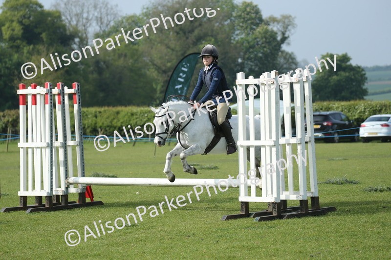 20260426-0109 - Class 13 - Rookie Jumping 50cm