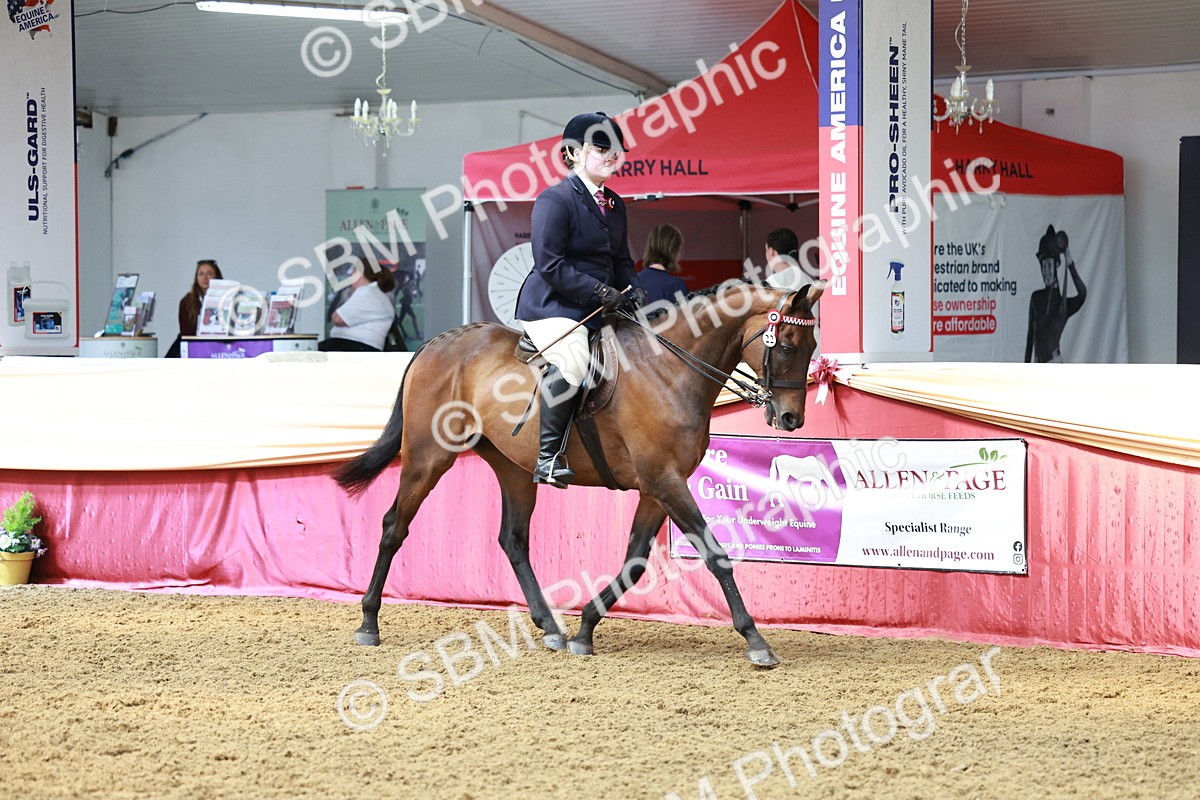 SBM_14884 - Class 108 - Ridden Retired Racehorse