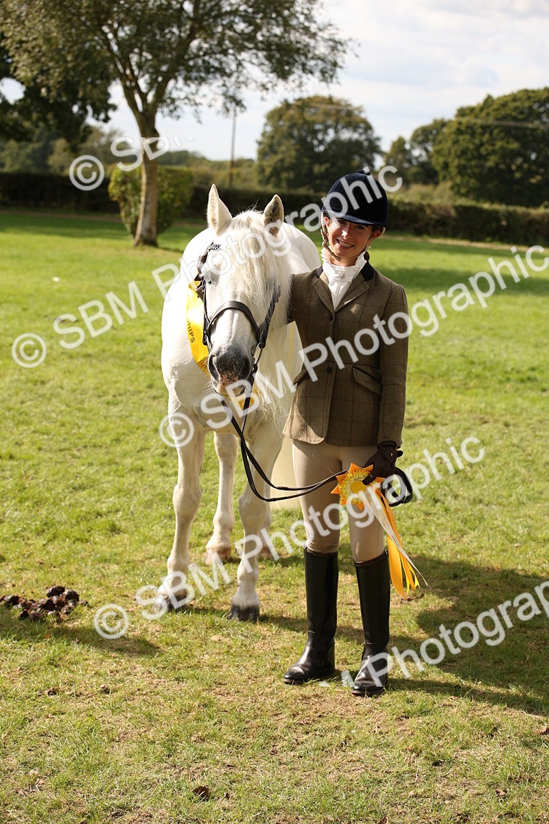 SBM_46419 - S25 - Mature Veteran In Hand