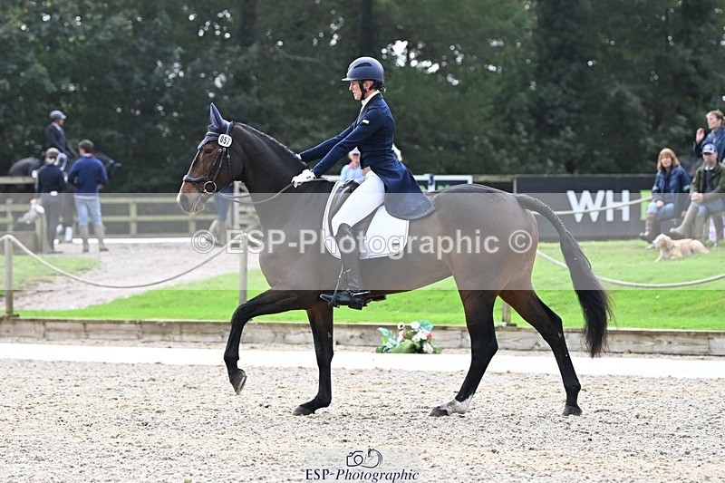 231019-145306-04302 - 057-OVERTON.TILANA'S.GOLD-Claire.Deuten-DR