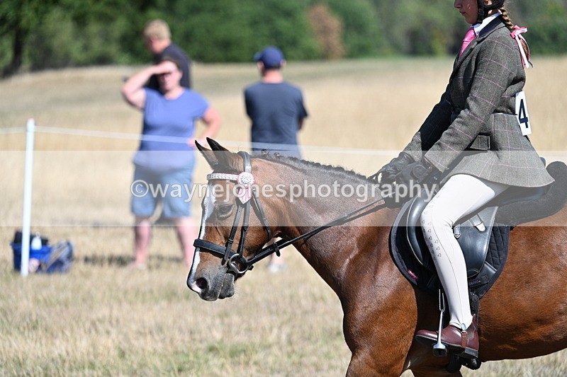 WJ7_4088 - Class 9 Mountain & Moorland Ridden