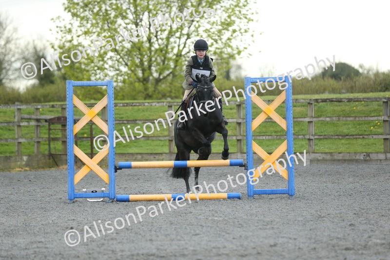 20260412-1894 - Show Jumping