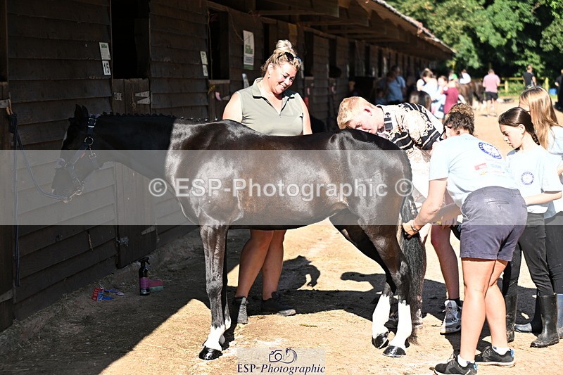 240729B-091355-01747 - Monday Stable Shots