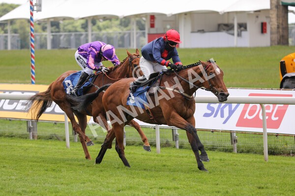 yr12062021r1-28 - Race 1 2.00pm Queen Mother's Cup