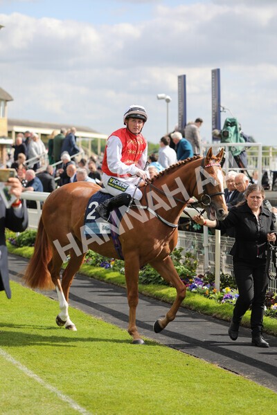 yr12052022r5-1 - Race 5 4.10pm British Stallion Studs EBF Westow Stakes
