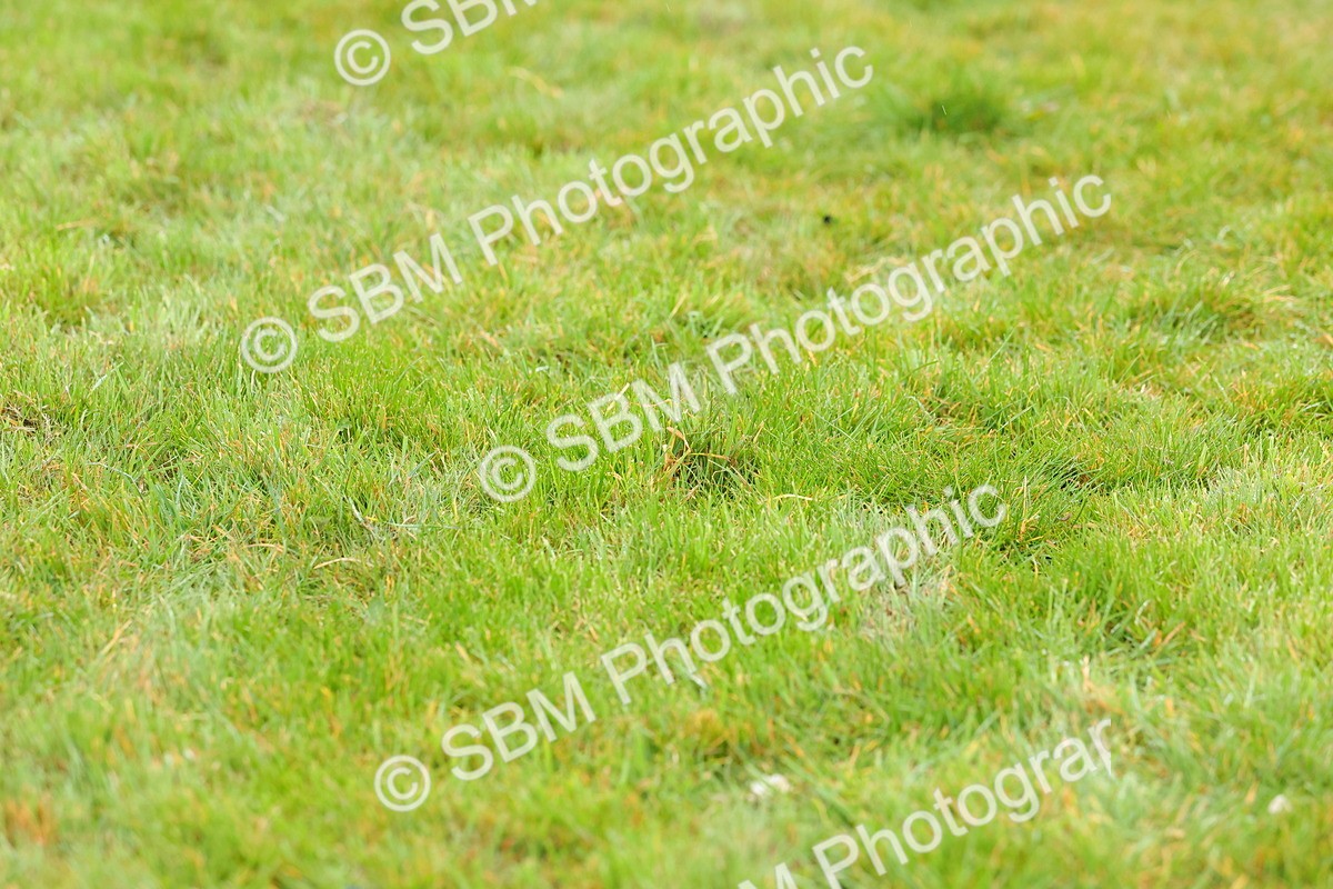 SBM_005789 - Junior 1 2 Final - Pairs Final