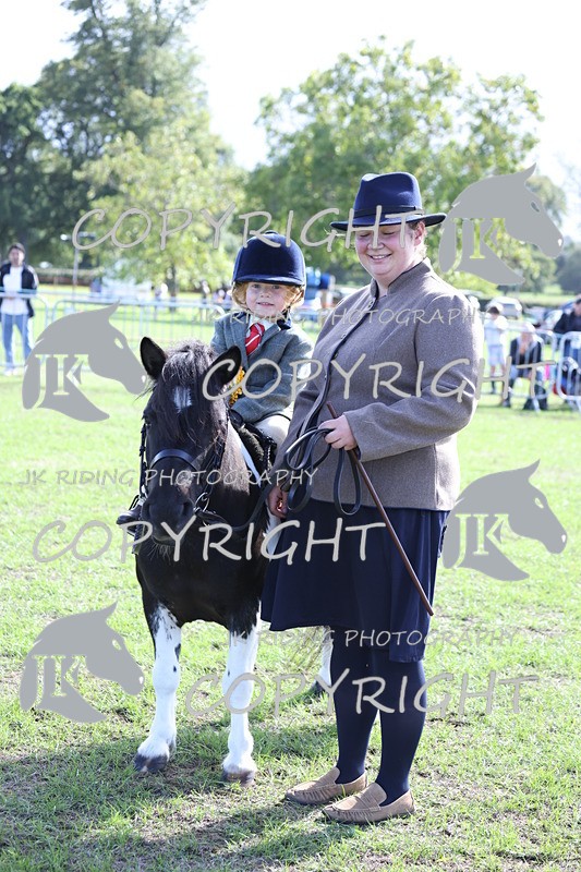 APP_3946 - Class 13 Lead rein