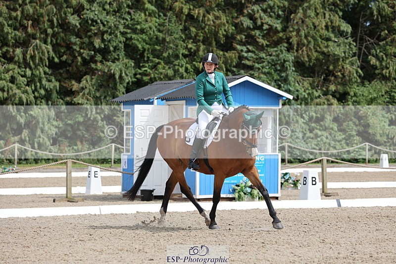 250718A-152811-02573 - 152-Tracy.OKennedy-Wylye.Harlequin