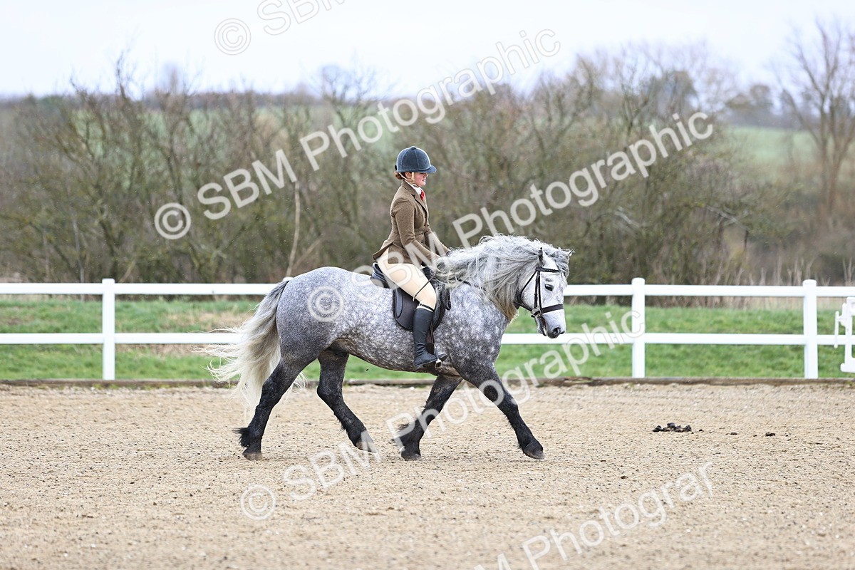 SBM_007573 - Class 31-32 - M&M Confined Novice Small-Large