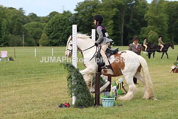 IMG_2443 - Working Hunter