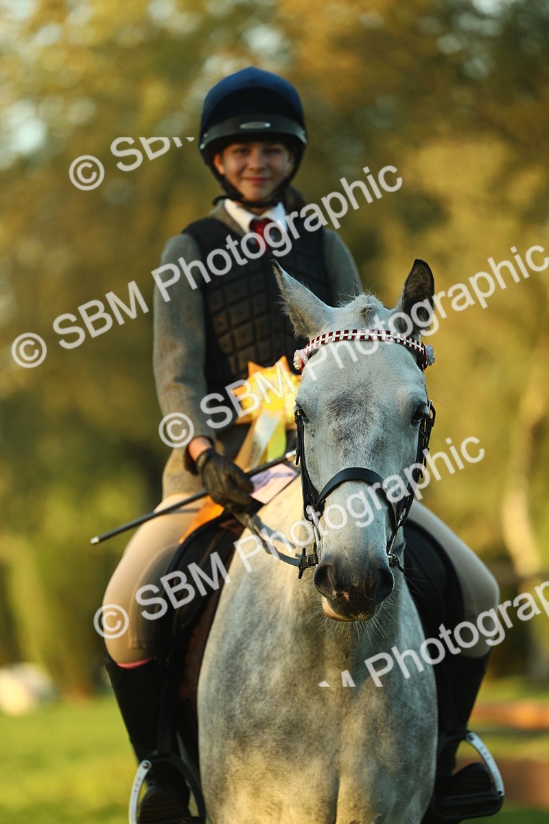SBM_56537 - S14 - Riding Club Horse