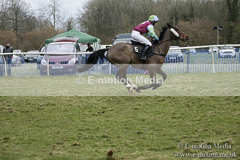 PtP 110318 466 - Hampshire Hunt Point-to-Point Hackwood Park 11/03/18