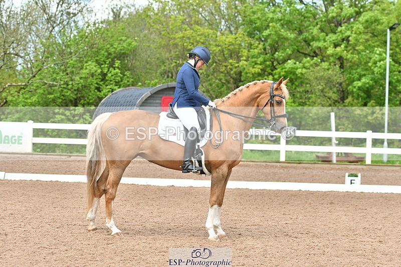 230511A-144545-00994 - BD Cls 14 Adv Medium 98