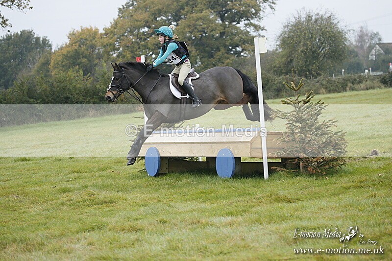 WWHT 181020 WWHT 181020 315 - WWEC Novice Restricted (0.80m) 18/10/20