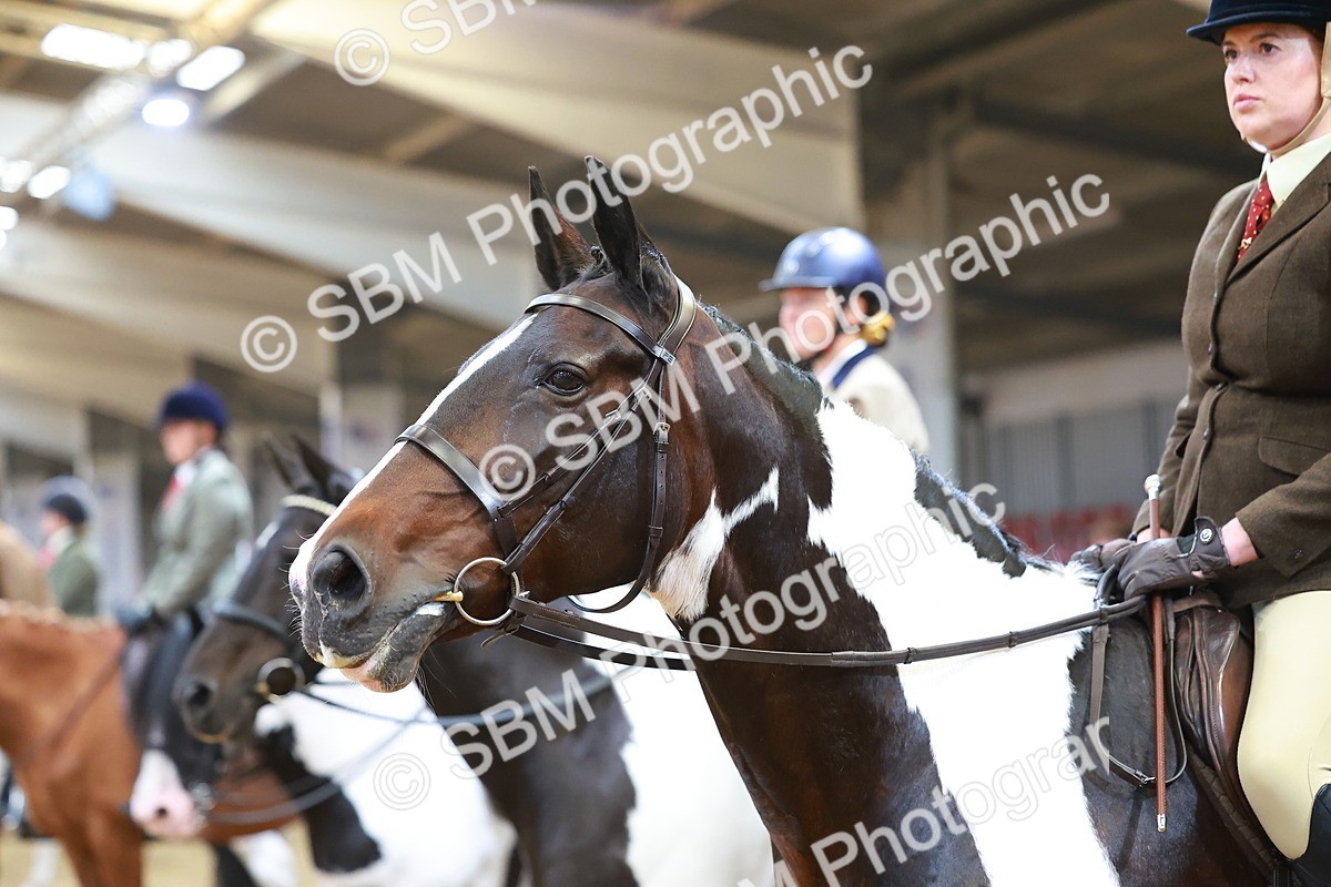 SBM_09690 - Class 102 - HOYS Veteran Qualifier - Ridden Veteran